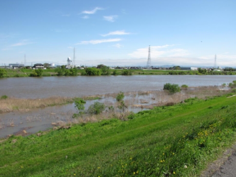 画像14